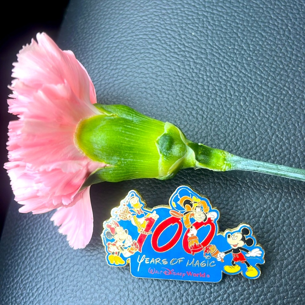 Walt Disney World 100 Years of Magic Fab 4 Painting pin
